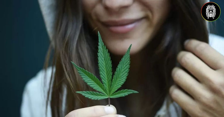 a95ab9_50e67bfcfc4a43238ef3c69ea056e069~mv2